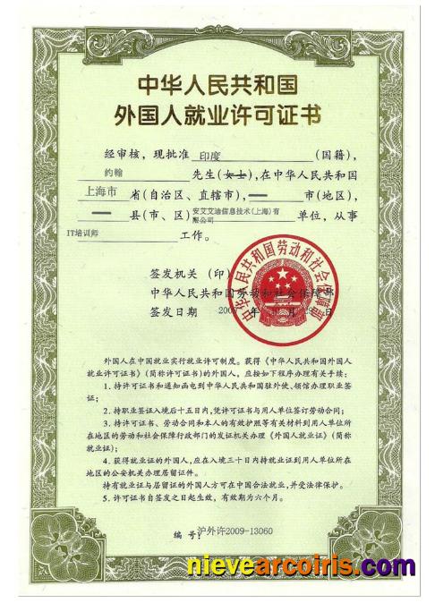 CHINA employment permit (work visa)